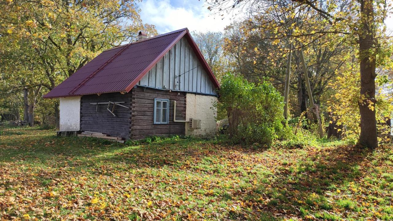 Viini Puhkemaja Guest House Mustjala Exterior foto