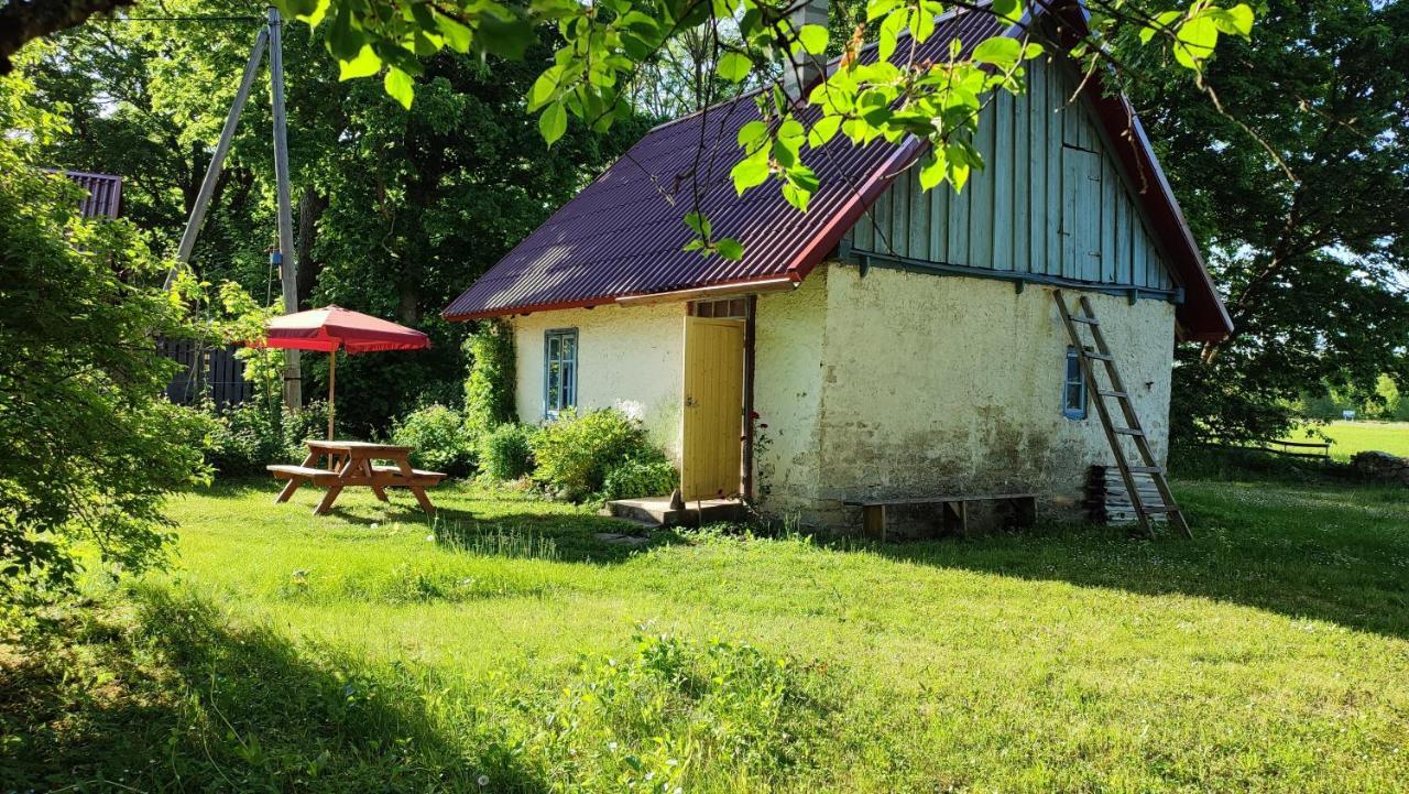 Viini Puhkemaja Guest House Mustjala Exterior foto
