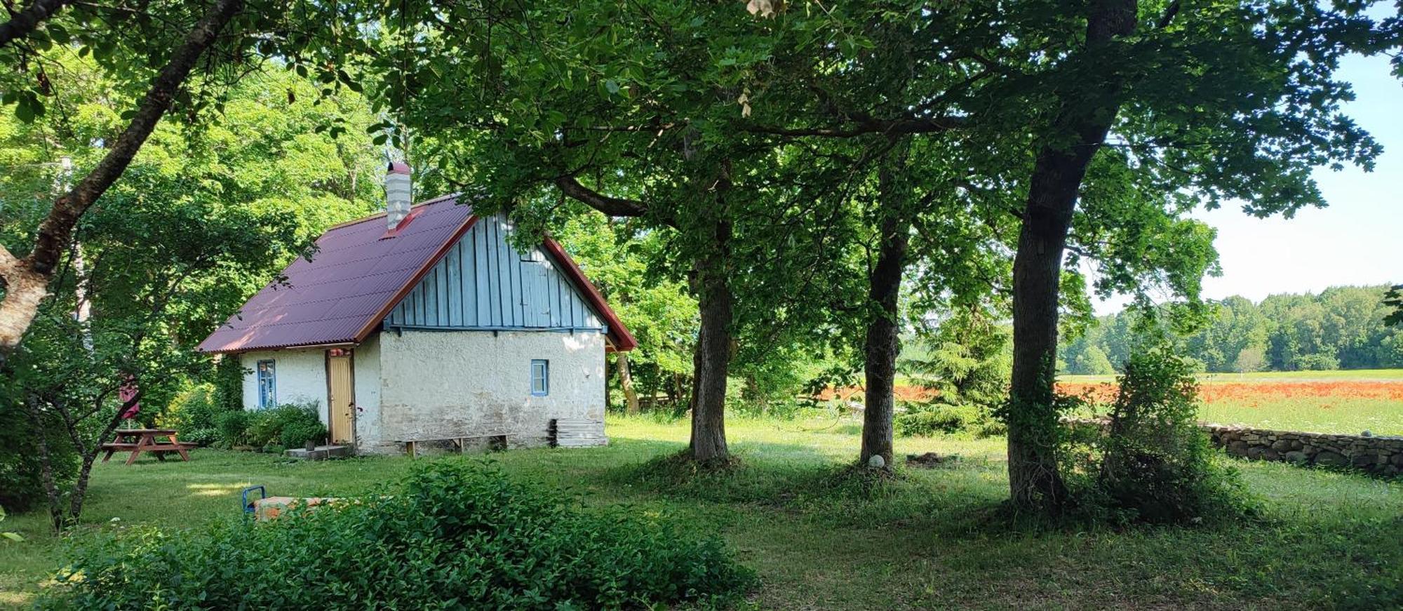 Viini Puhkemaja Guest House Mustjala Exterior foto